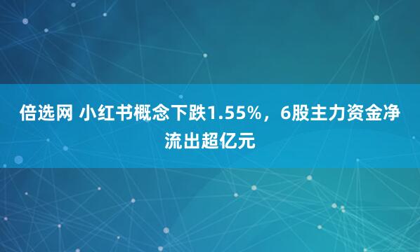 倍选网 小红书概念下跌1.55%，6股主力资金净流出超亿元